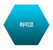 하이코