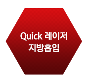 Quick레이저지방흡입